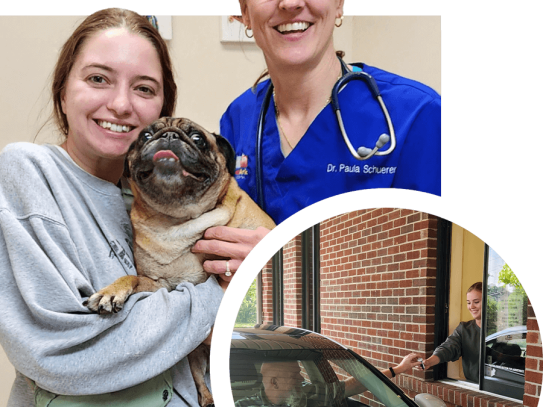  Comprehensive Guide to Lexington Pet Clinic MN: Your Trusted Veterinary Care in Minnesota