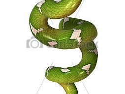 Are Green Tree Pythons Good Pets?