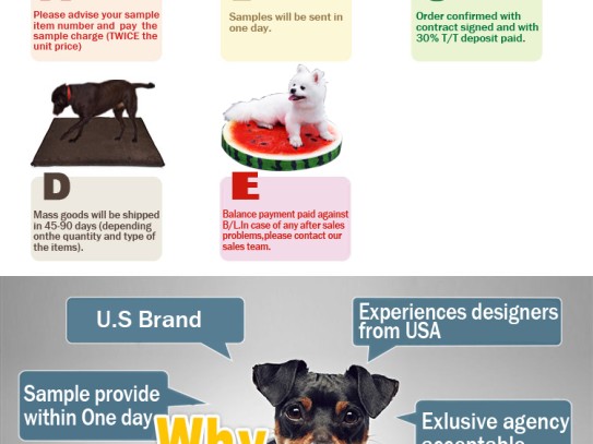  Discover the Wonders of 88 Pet World: Your Ultimate Guide to Pet Care and Products