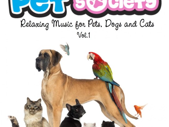  Discover the Ultimate Pet Community: Pet City on Facebook - Your Go-To Hub for Pet Lovers!