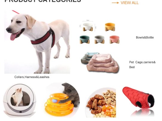  Exploring the Best Pet Supplies Plus Orlando: Your Ultimate Guide to Pet Care Essentials