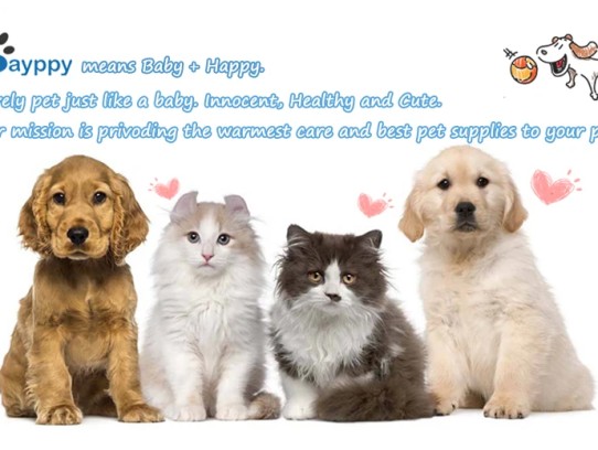  Discover Your Perfect Companion: Unleash the Joy of Adopting Pets on Craigslist Hanford Pets