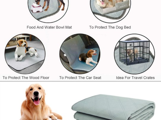  Discover the Ultimate Comfort with My Pet Pillow: The Perfect Companion for Pet Lovers