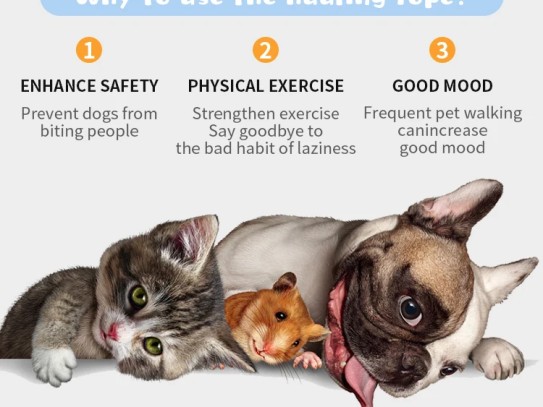 # Unlock the Secrets to Your Pet's Health at Pet Wellness Animal Hospital